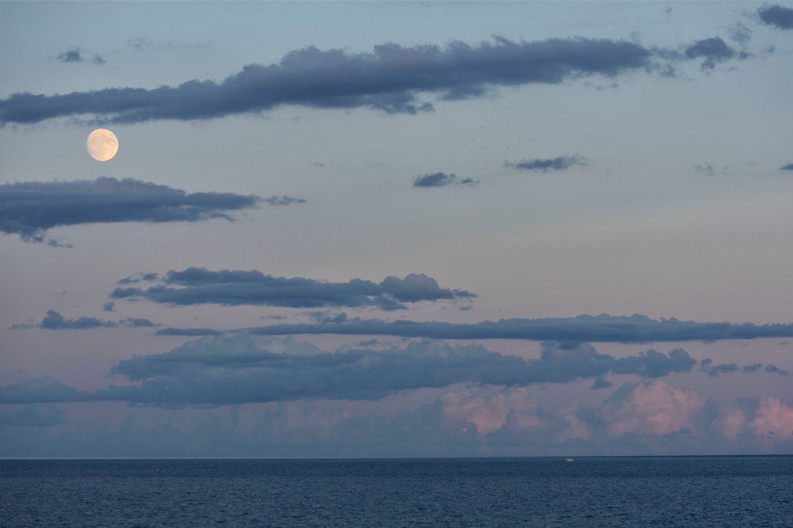 Full moon — fotografia 13 di Francesco Loliva
