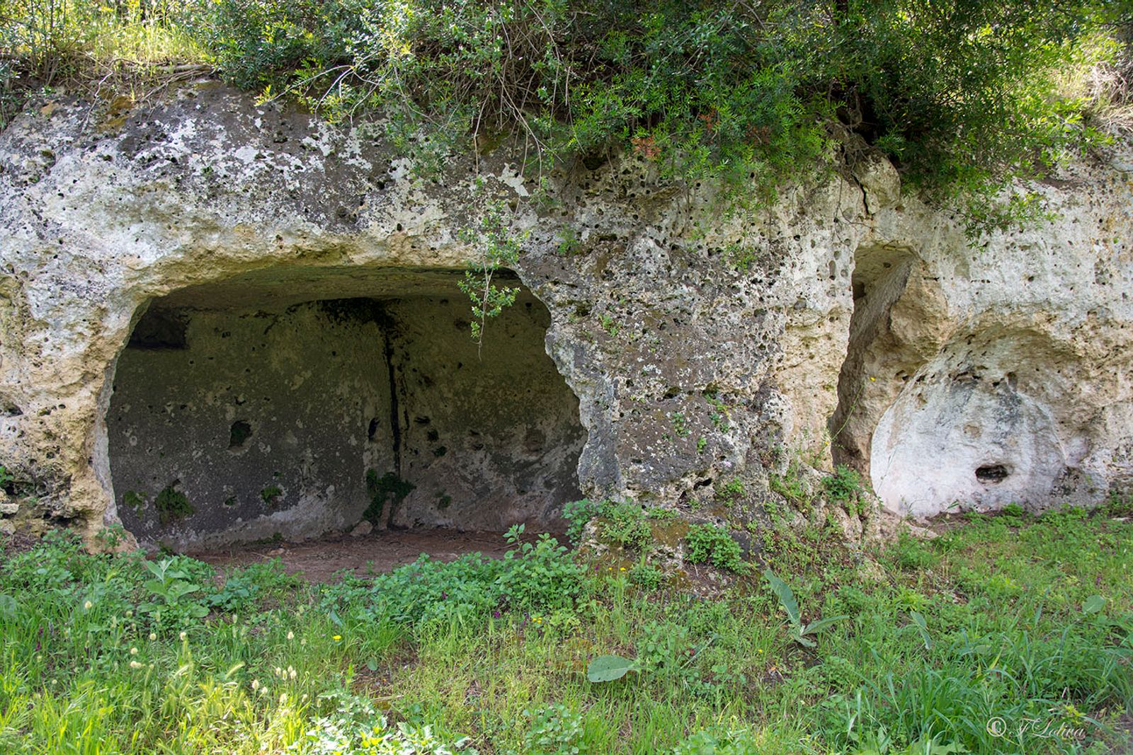 LAMA D'ANTICO - FASANO — fotografia 19 di Francesco Loliva