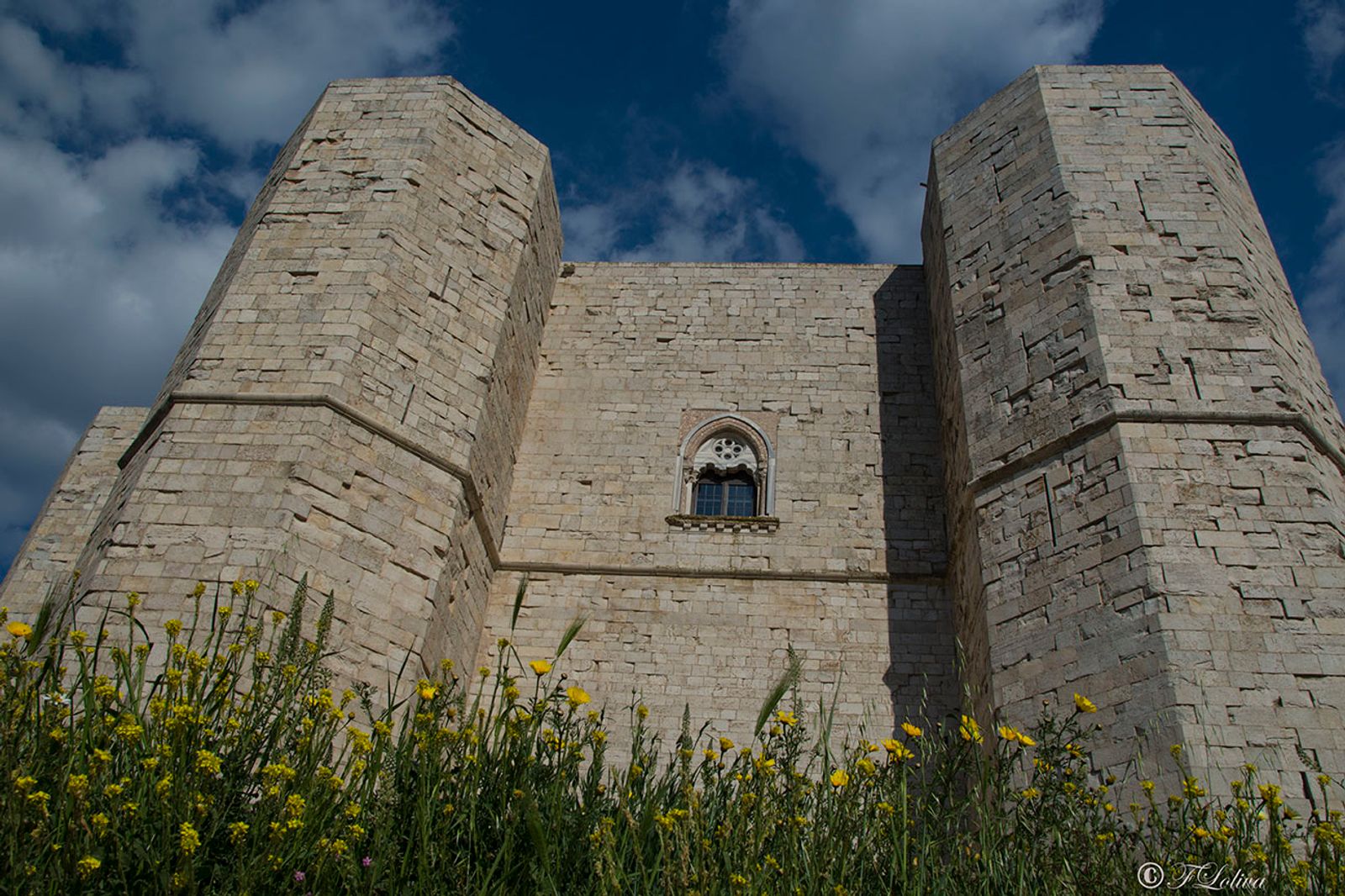 PUGLIA IMPERIALE — fotografia 9 di Francesco Loliva