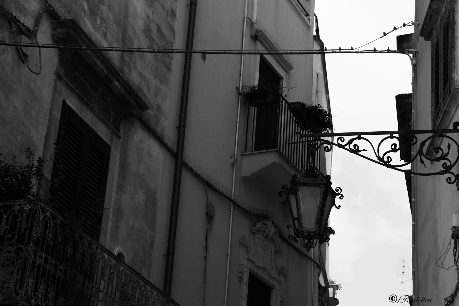 Lampioni B/W — fotografia 8 di Francesco Loliva