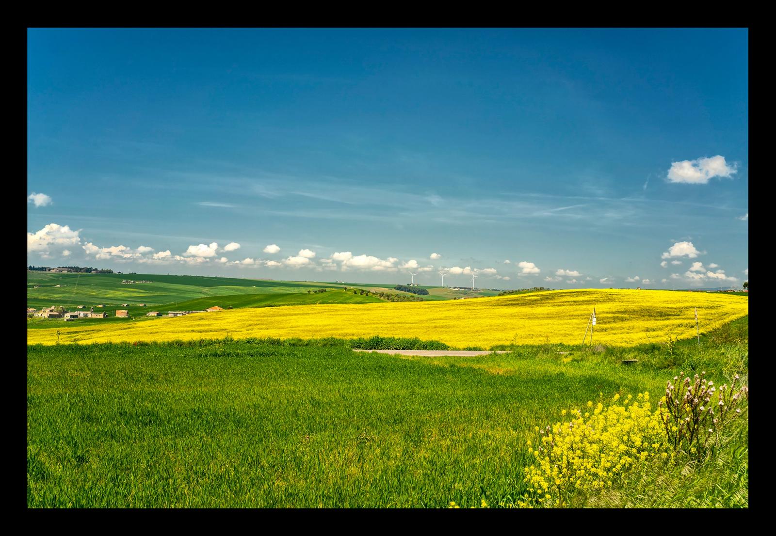 ALTA MURGIA IN PRIMAVERA#2