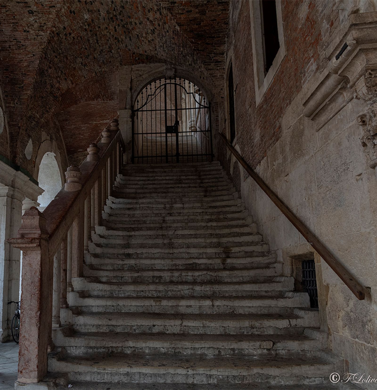 VICENZA 2019 — fotografia 12 di Francesco Loliva
