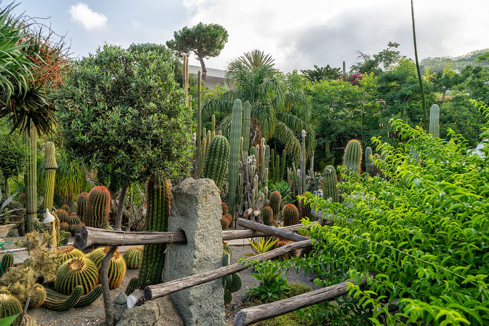 GIARDINI RAVINO - FORIO D'ISCHIA — fotografia 13 di Francesco Loliva