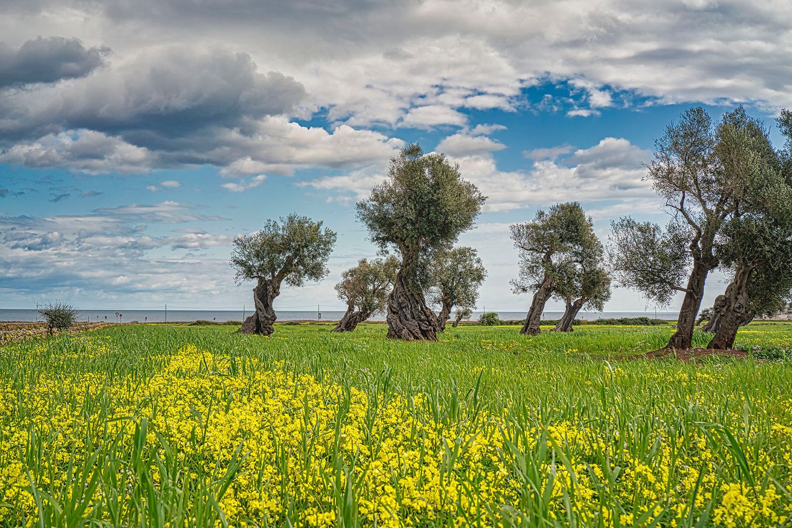 I COLORI DELLA PRIMAVERA#2