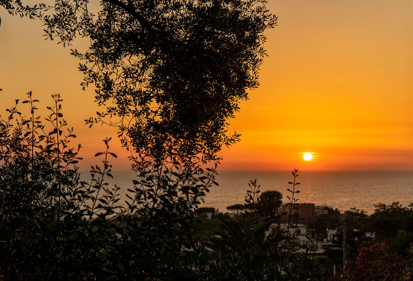 TRAMONTO ISCHITANO #10