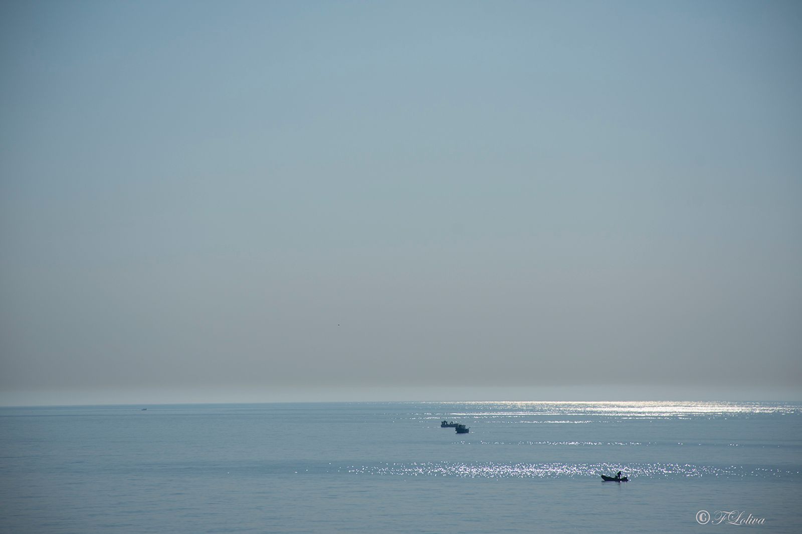 Riflessi di sole — fotografia 7 di Francesco Loliva