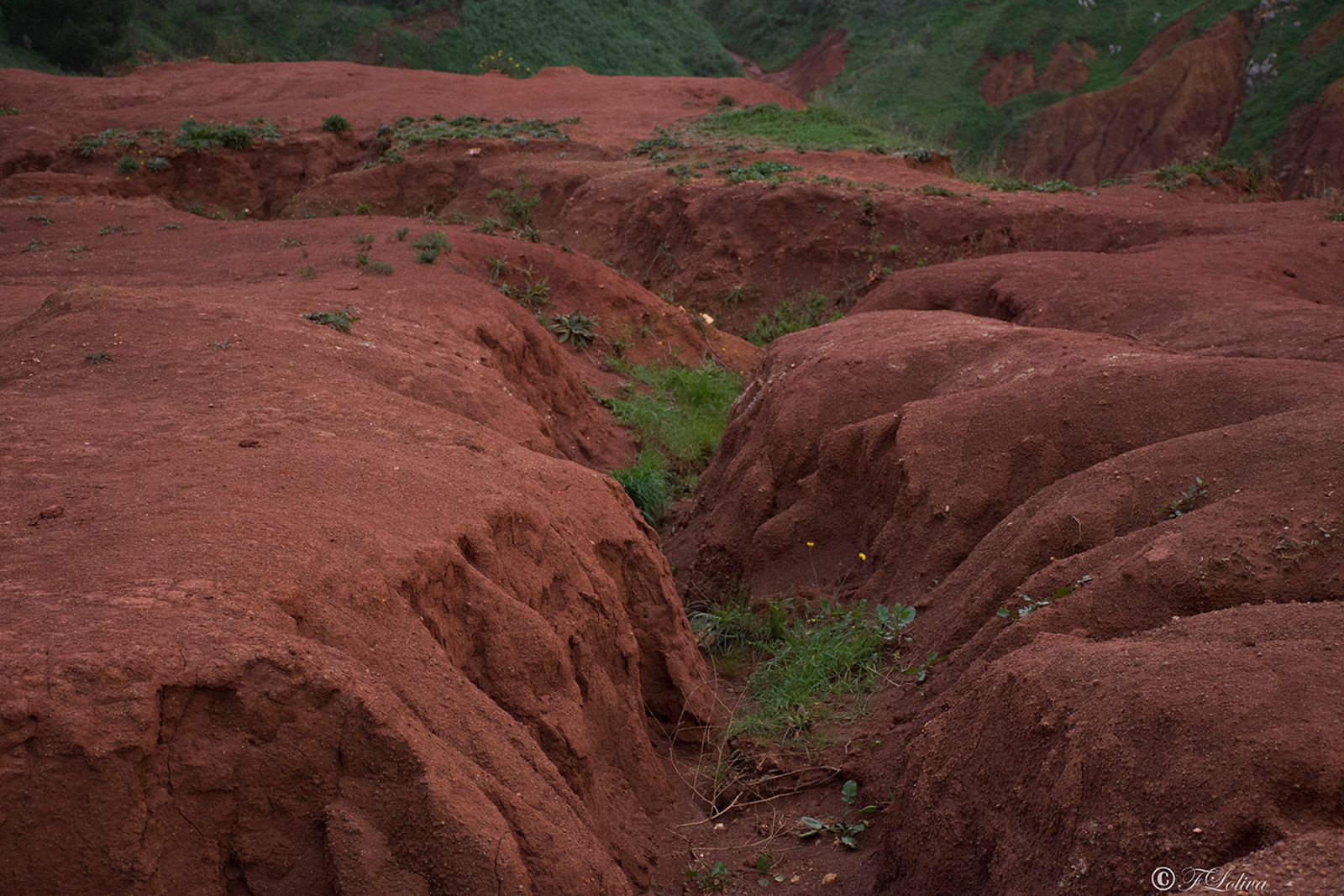 CAVA DI BAUXITE — fotografia 10 di Francesco Loliva