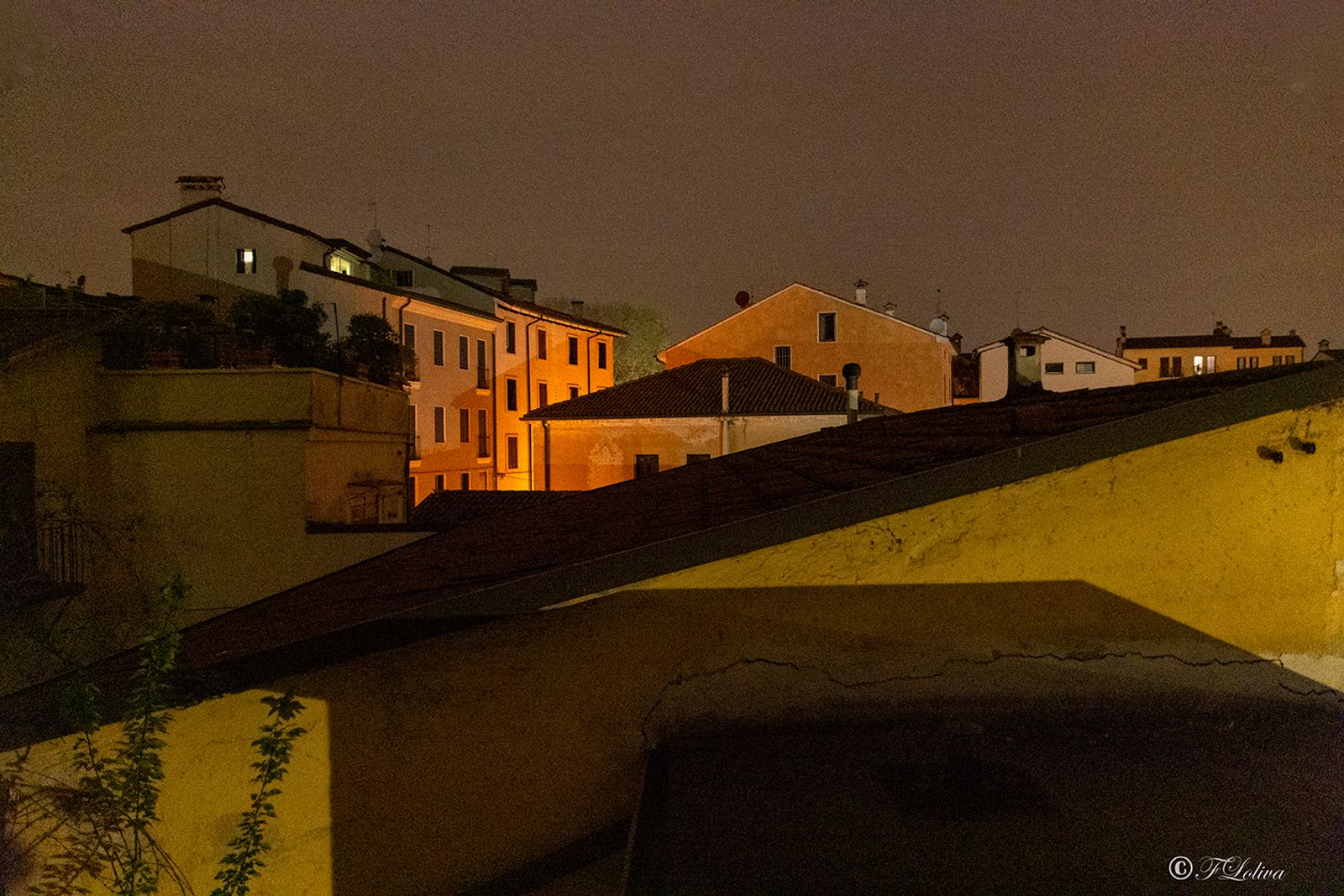 VICENZA 2019 — fotografia 37 di Francesco Loliva