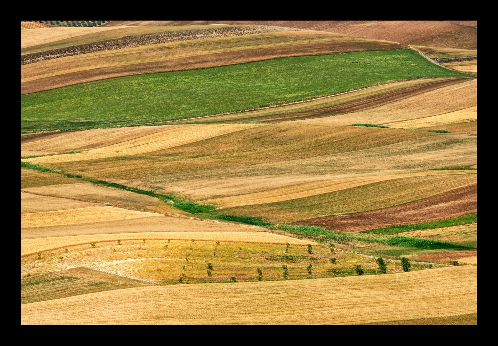 ALTAMURGIA#3