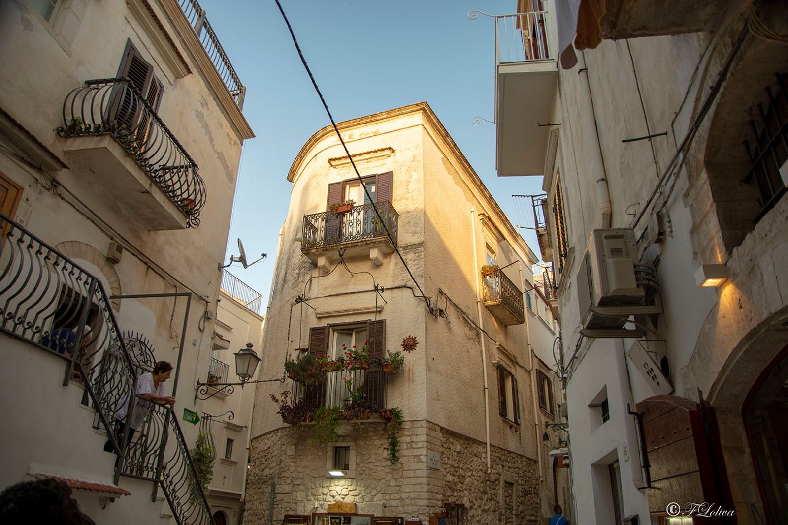 VIESTE - PESCHICI — fotografia 18 di Francesco Loliva