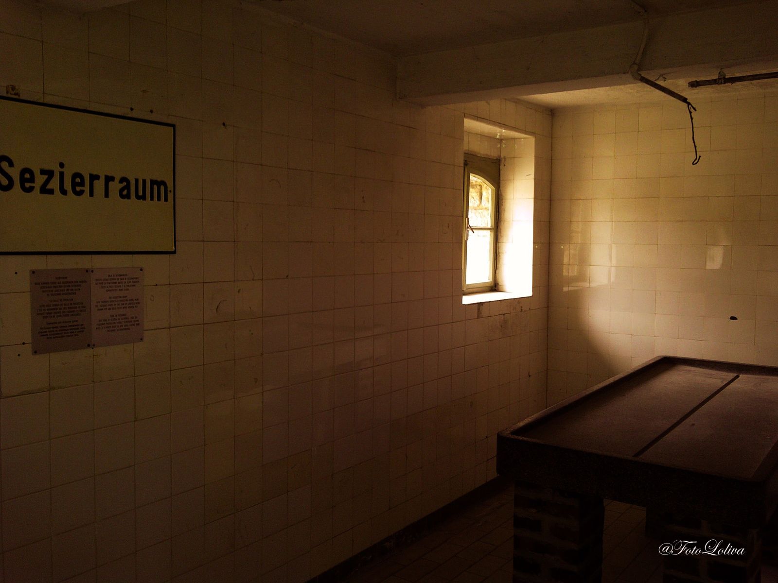 SEZIERRAUM (sala anatomica) Nel 1942 da Mauthausen furono inviati a Berlino cinquantadue chili di oro odontoiatrico…