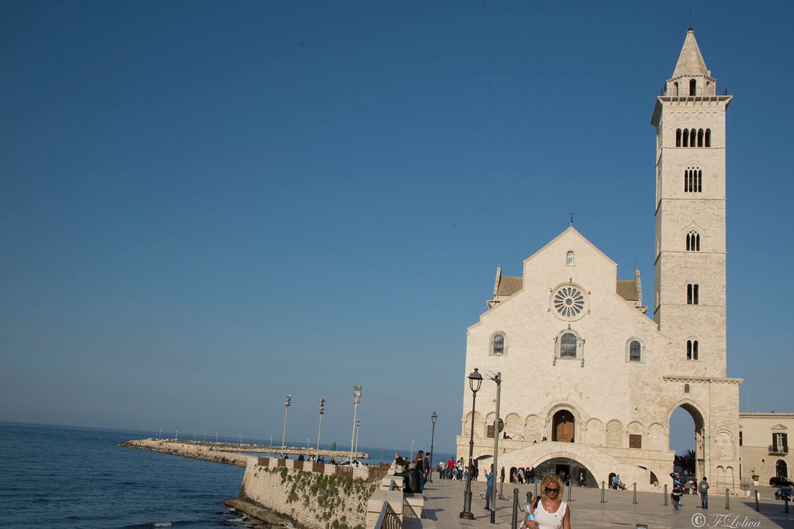 TRANI La città, conosciuta anche come "la perla dell'Adriatico", è famosa per la Cattedrale romanica che si affaccia…