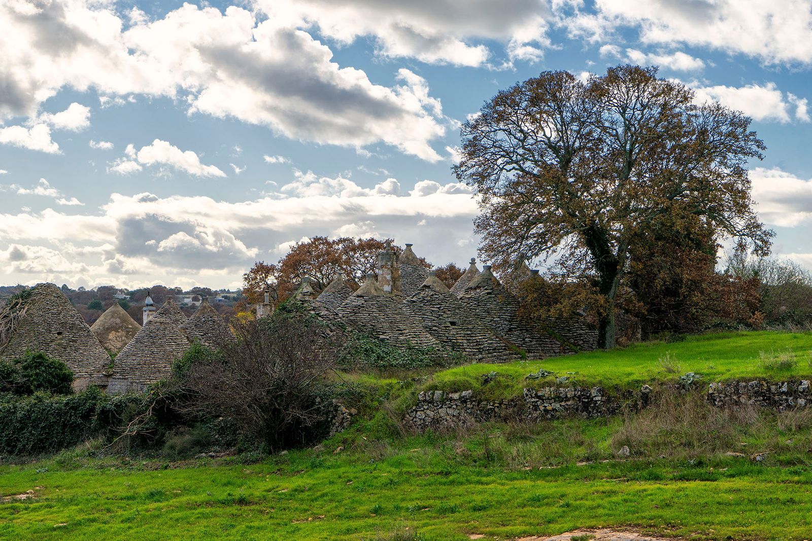 TRULLI