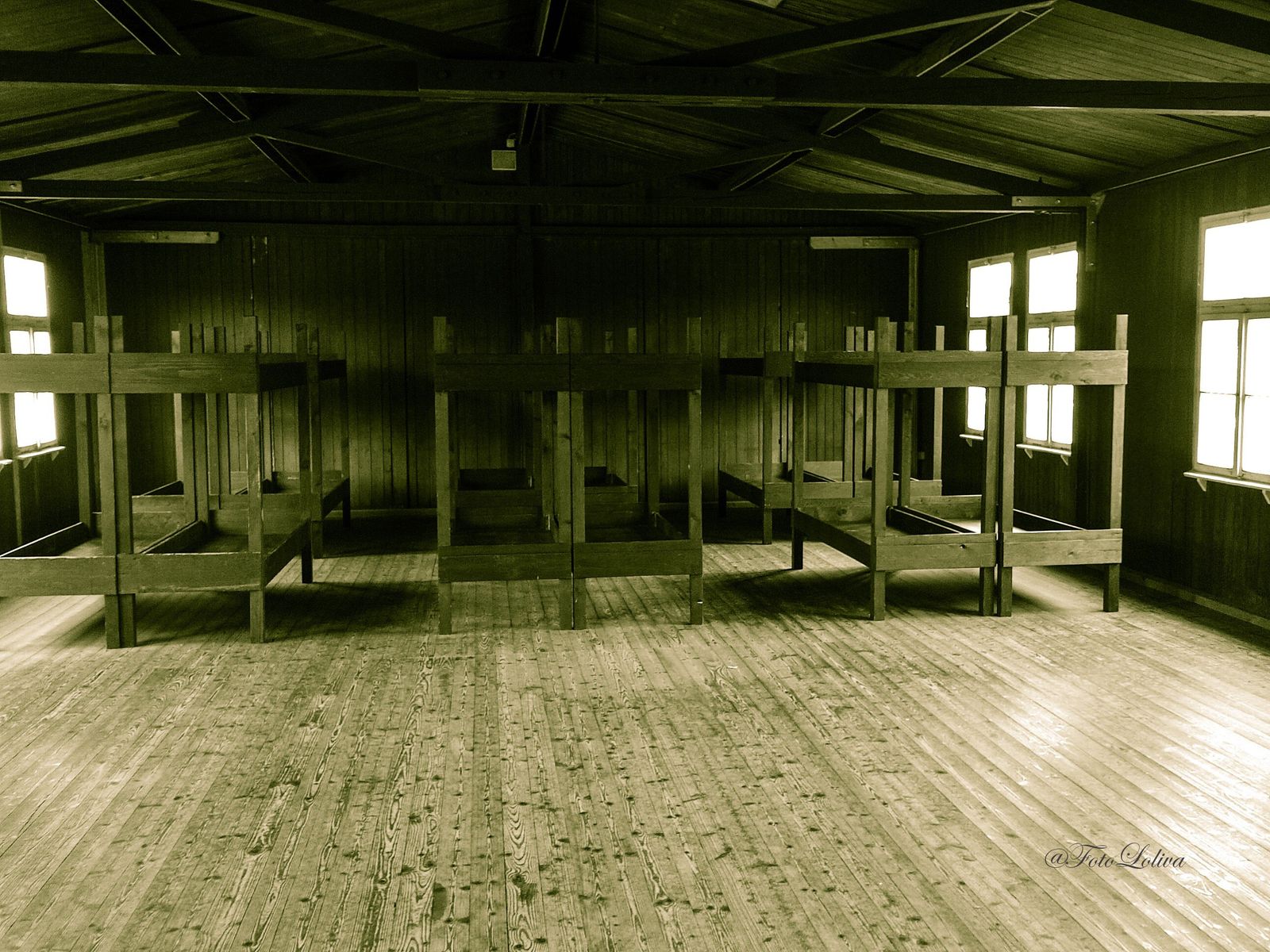 CAMERATE (interno)