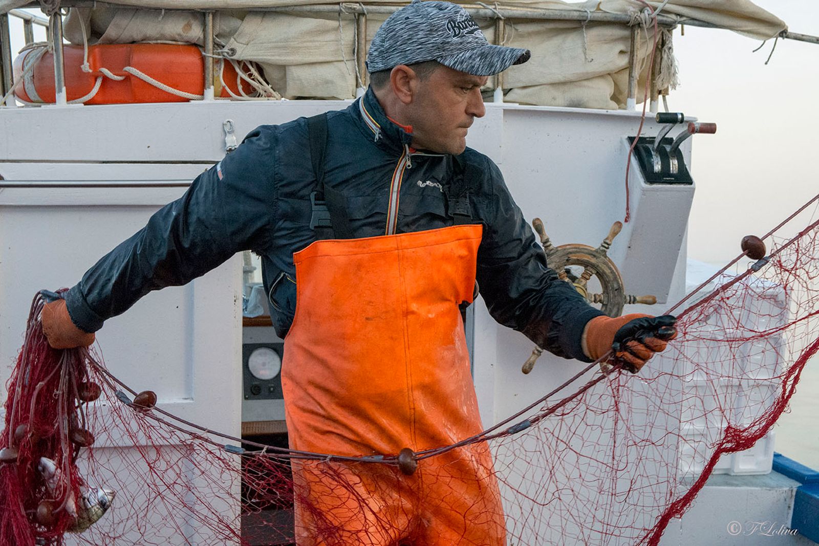 SAVELLETRI - LA PESCA CON LE RETI — fotografia 11 di Francesco Loliva
