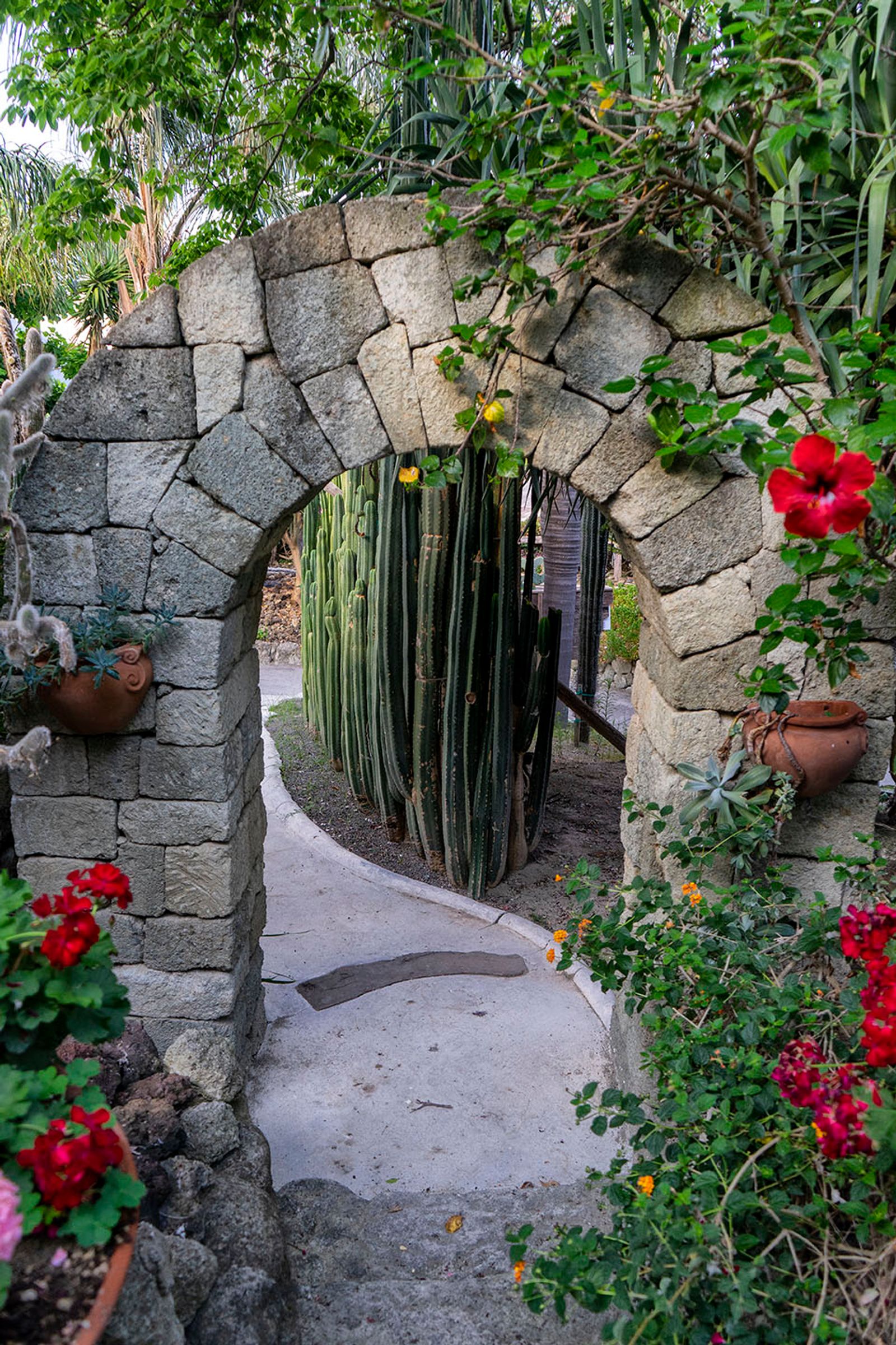 GIARDINI RAVINO - FORIO D'ISCHIA — fotografia 30 di Francesco Loliva