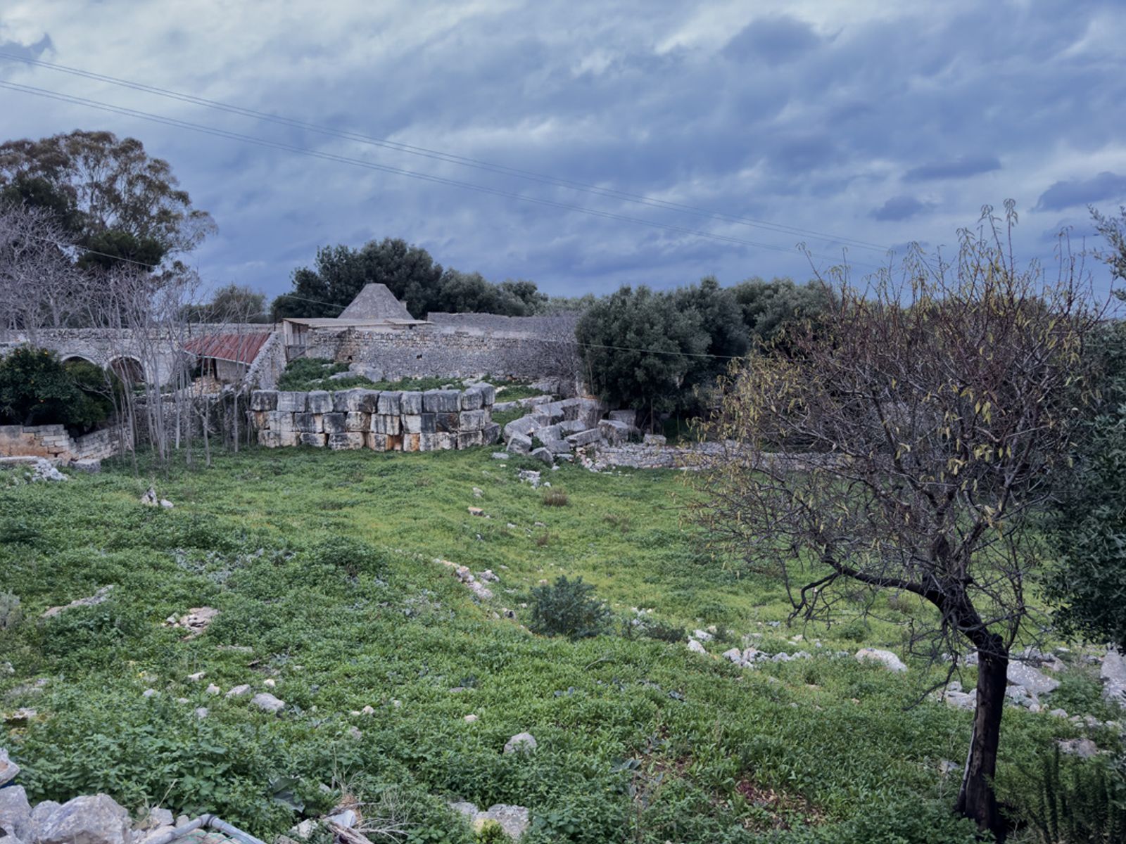 UNA VECCHIA MASSERIA PUGLIESE — fotografia 14 di Francesco Loliva