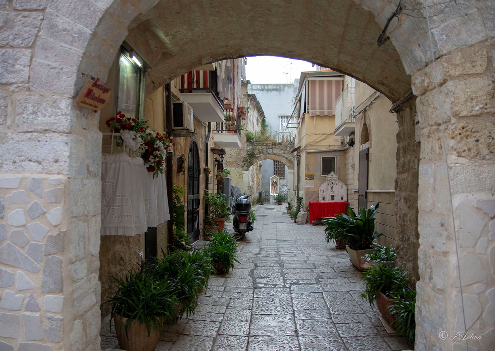 Bari vecchia è una realtà in continuo fermento, dopo che per anni è stata una zona abbandonata a se stessa e forse anche…