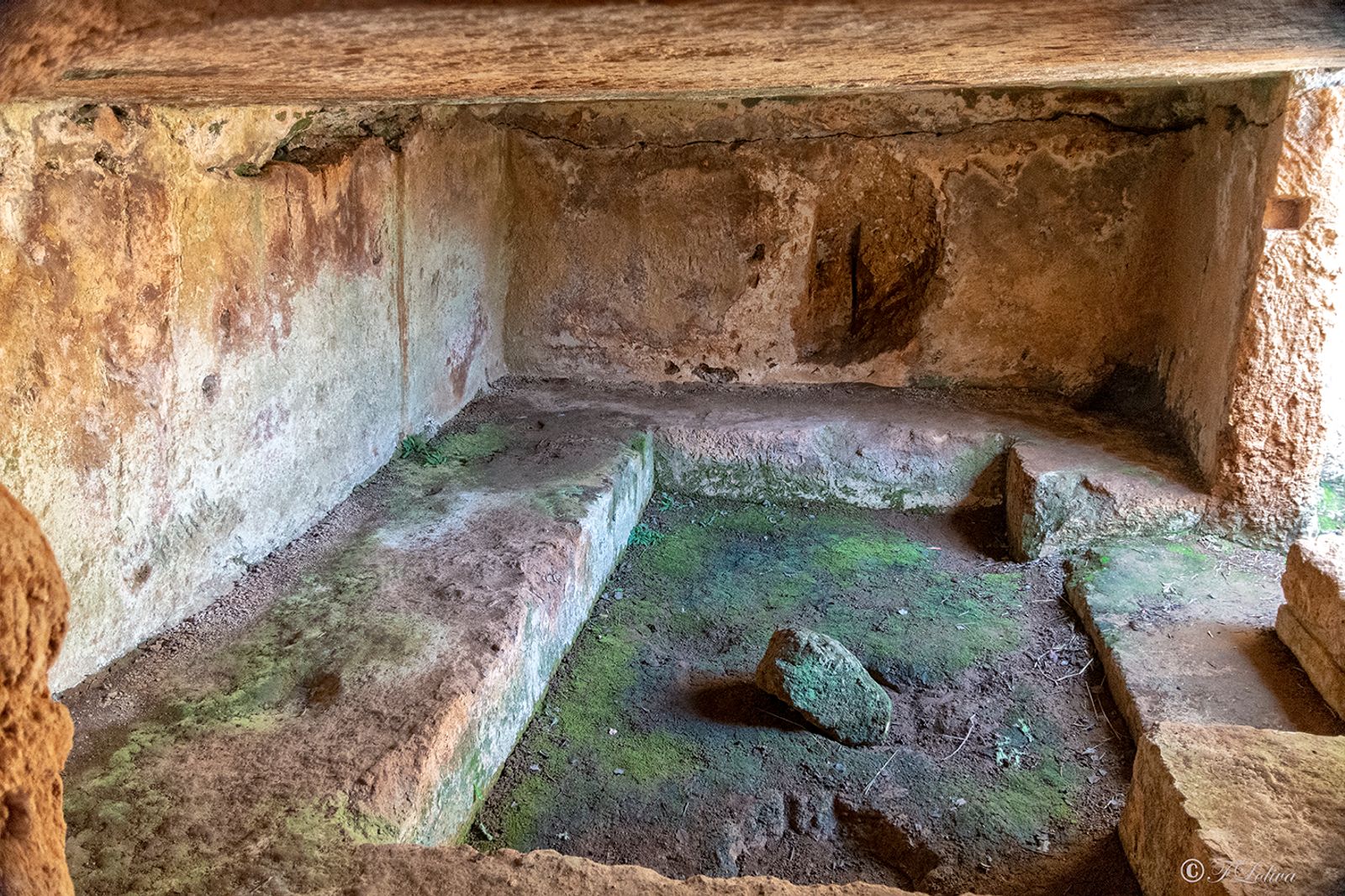 PARCO ARCHEOLOGICO DI EGNAZIA — fotografia 11 di Francesco Loliva