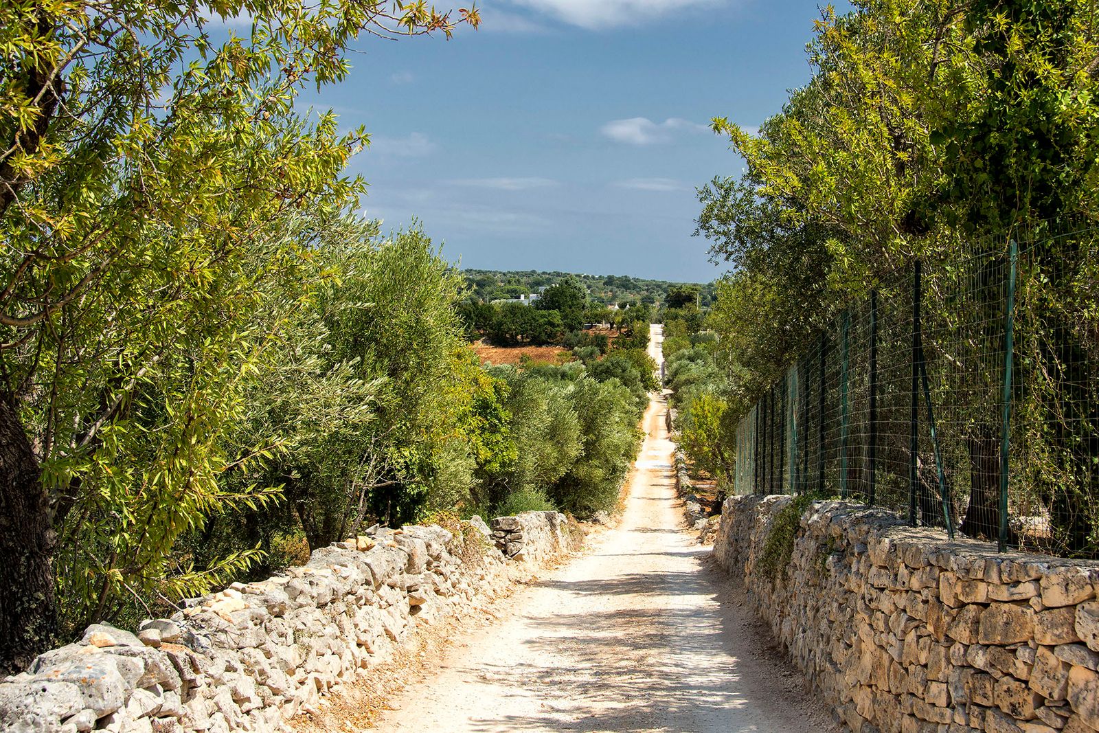 STRADA DI CAMPAGNA#1
