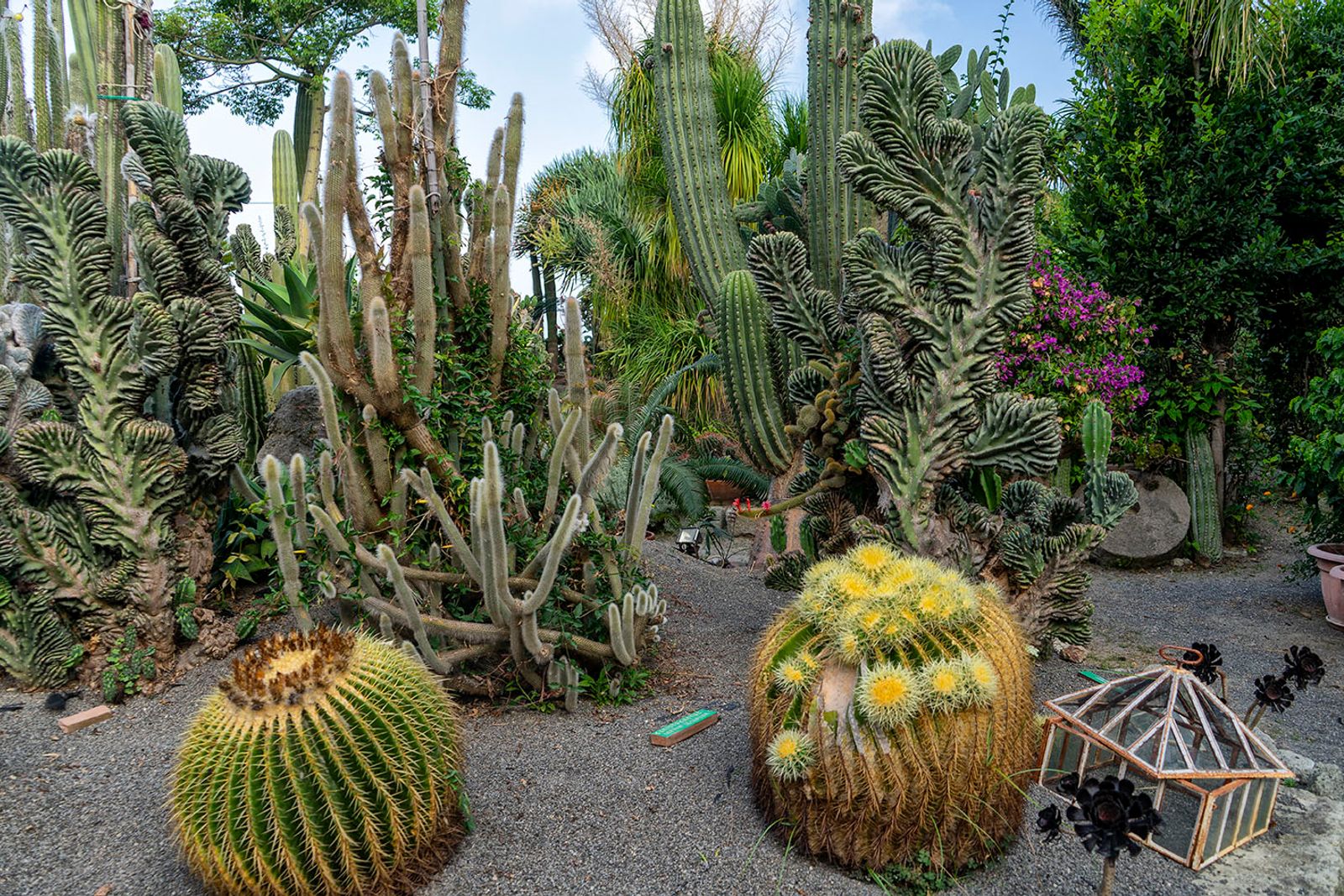 GIARDINI RAVINO - FORIO D'ISCHIA — fotografia 15 di Francesco Loliva
