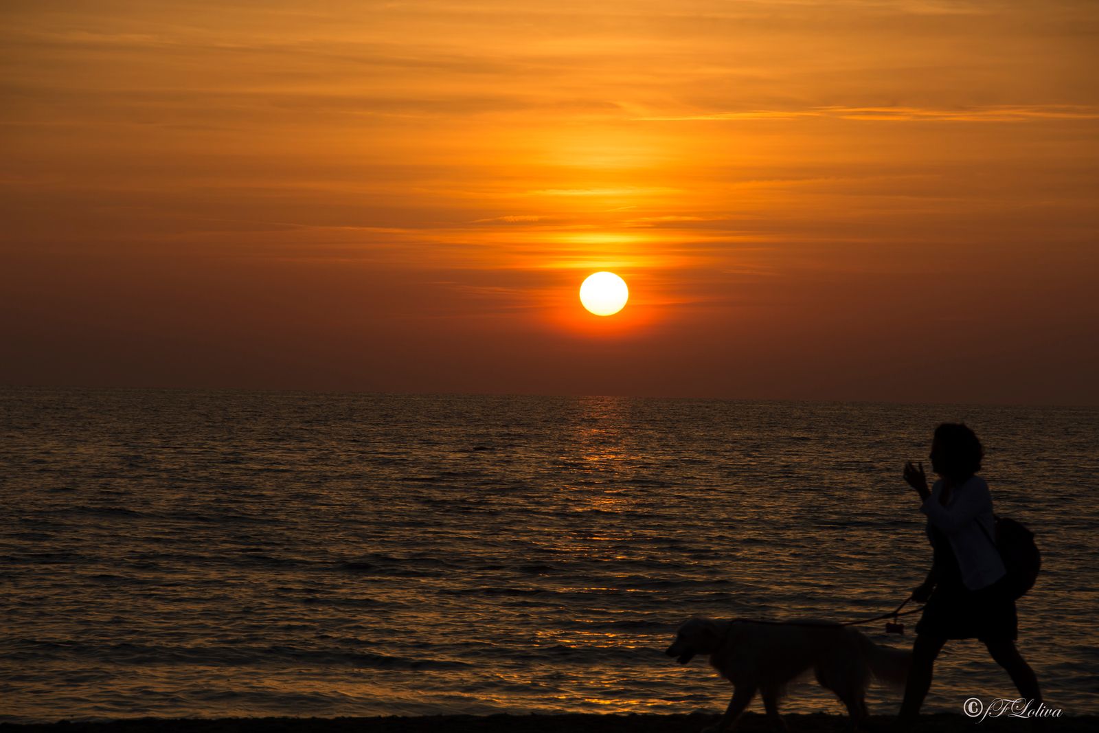 TRAMONTO IN VERSILIA — fotografia 5 di Francesco Loliva