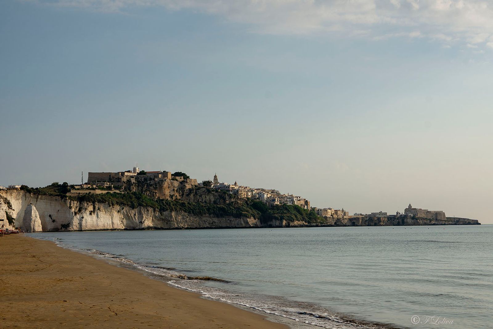 VIESTE - PESCHICI — fotografia 6 di Francesco Loliva