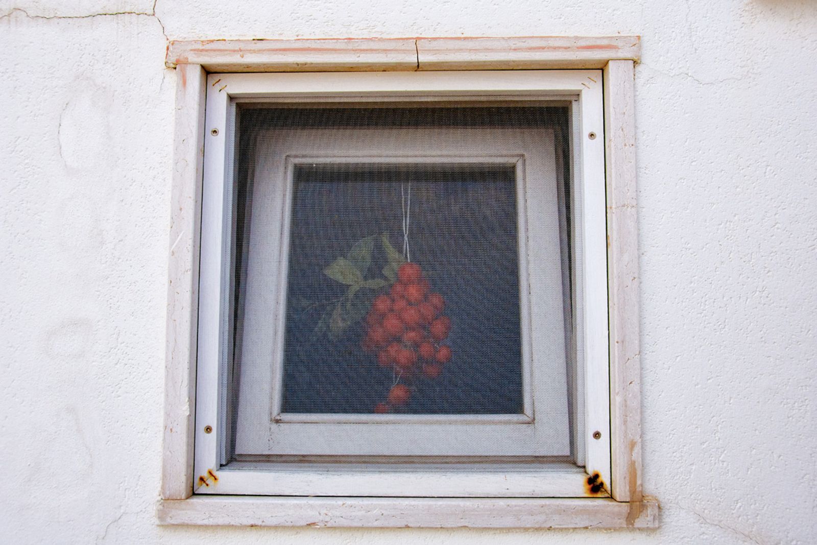 FINETSRA PUGLIESE