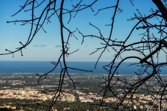 SELVA DI FASANO