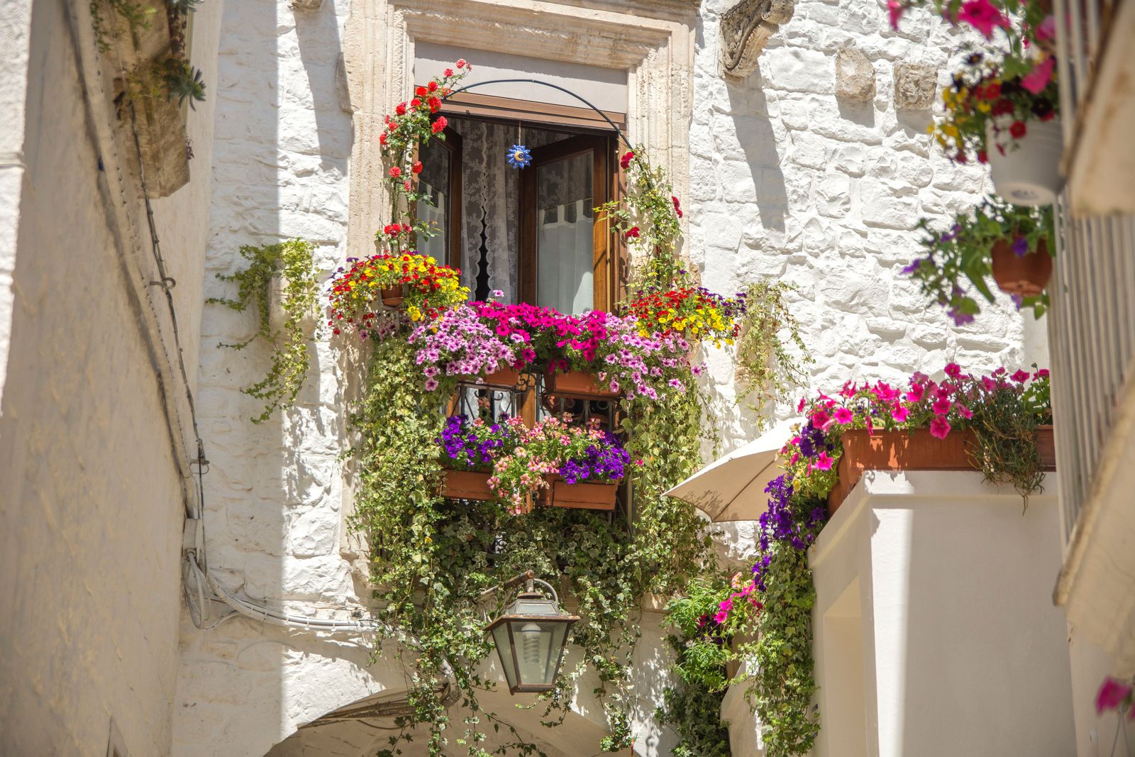 SCORCI DI PUGLIA - GRAND HOTEL " CANNE BIANCHE" Torrecanne di fasano — fotografia 5 di Francesco Loliva