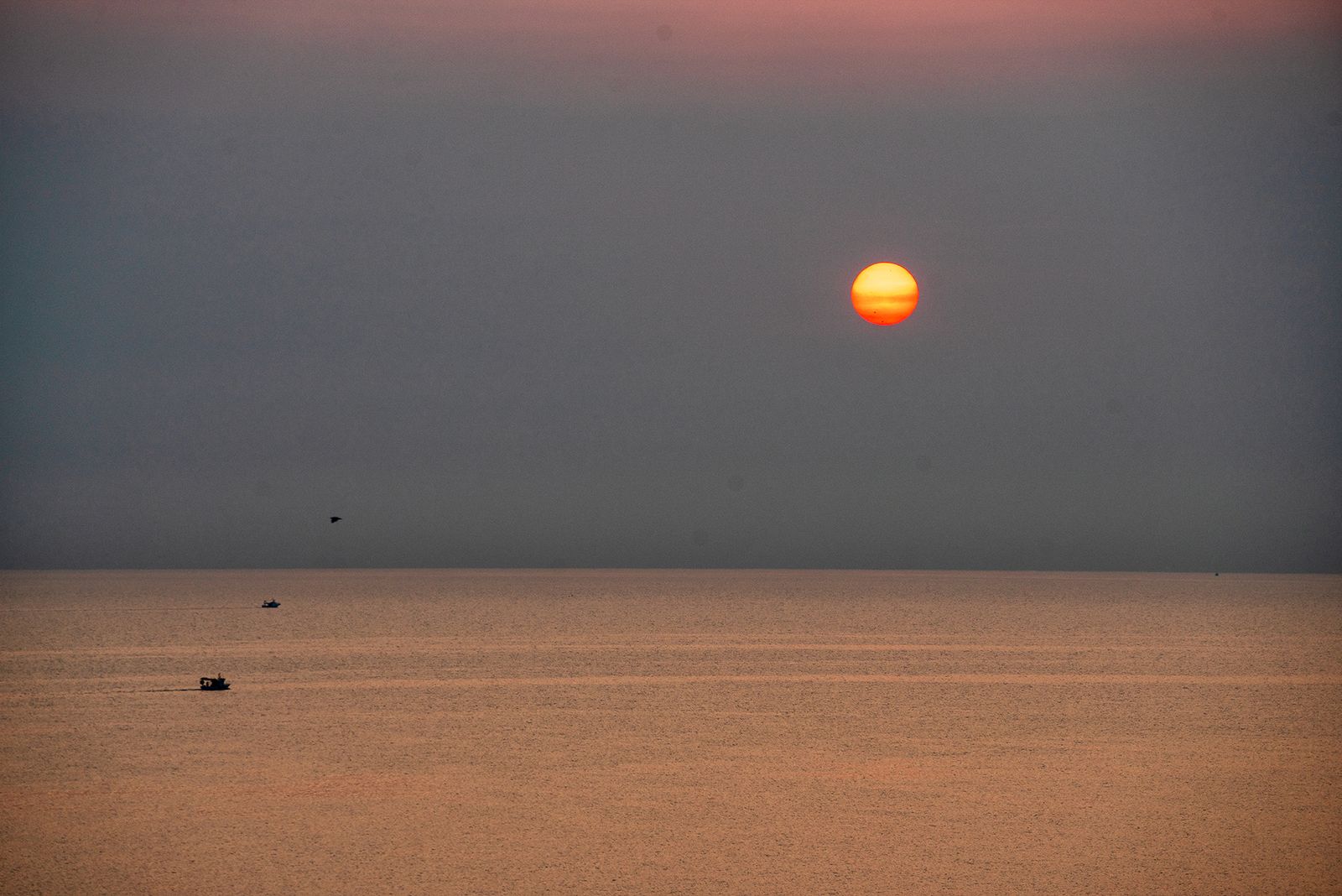 ALBA SICULA #4
