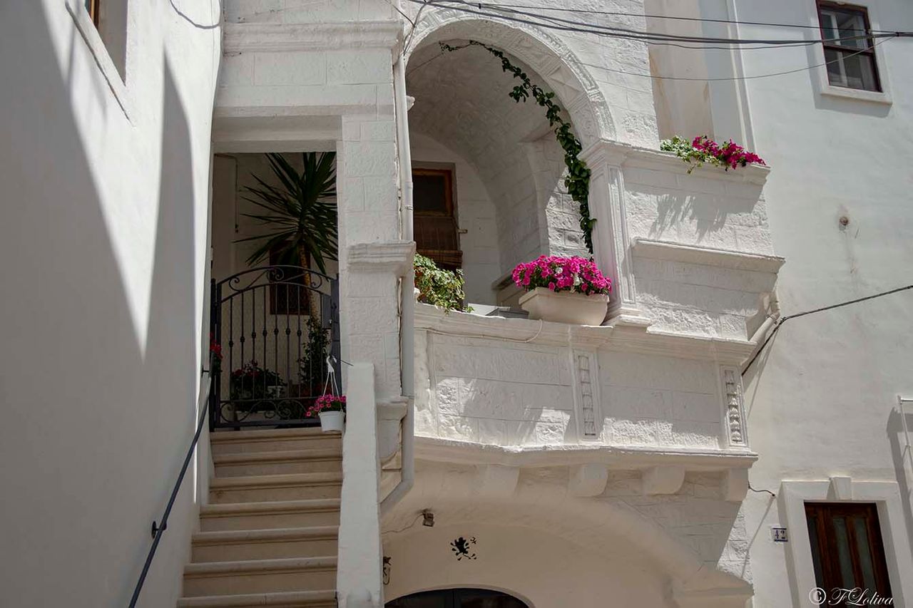 CISTERNINO - CONCORSO BORGO FIORITO