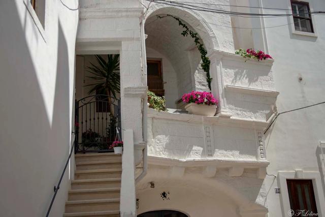 CISTERNINO - CONCORSO BORGO FIORITO
