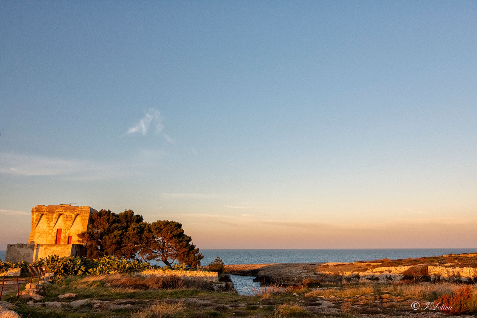 TORRE INCINA - POLIGNANO — fotografia 1 di Francesco Loliva
