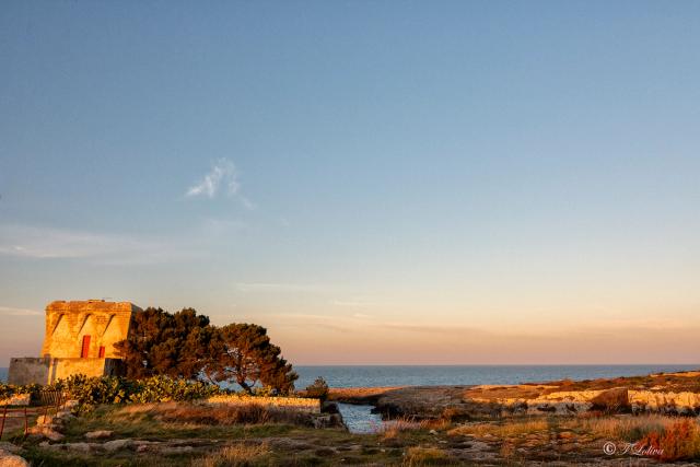 TORRE INCINA - POLIGNANO