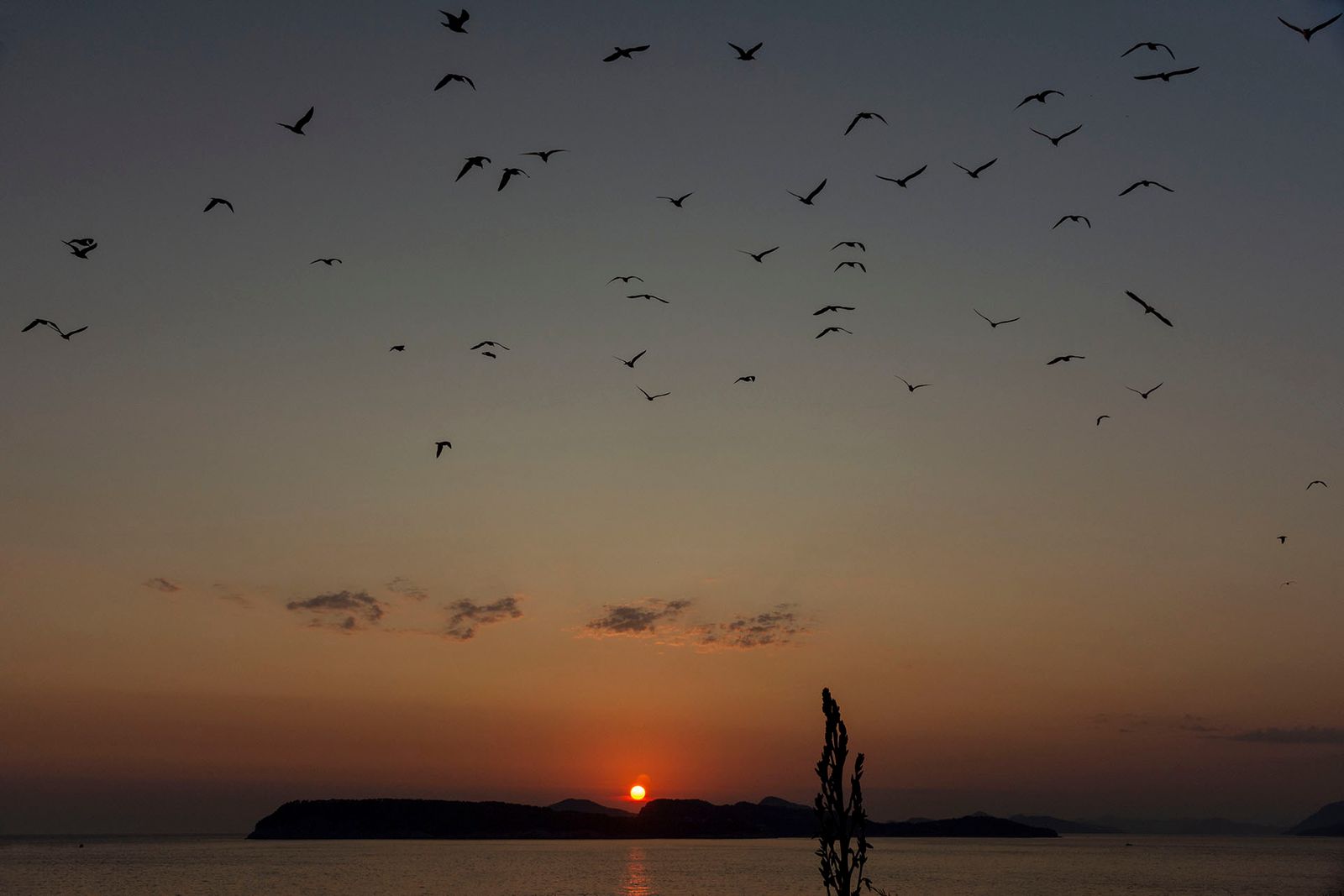 TRAMONTO CROATO