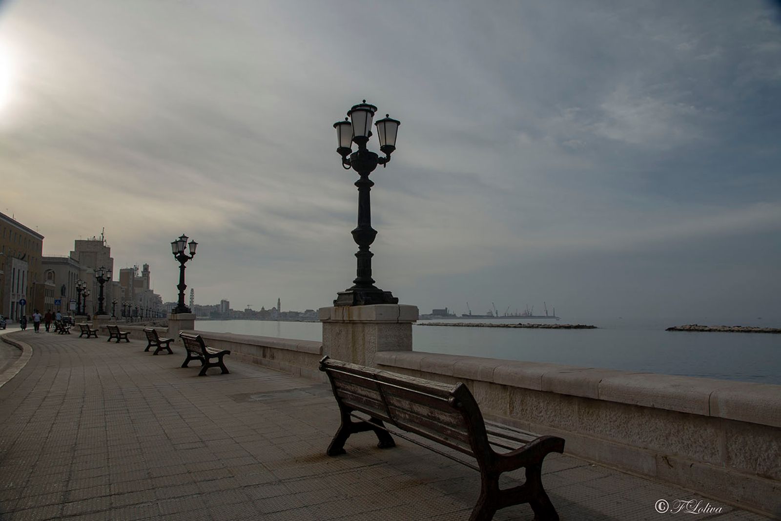 BARI — fotografia 1 di Francesco Loliva