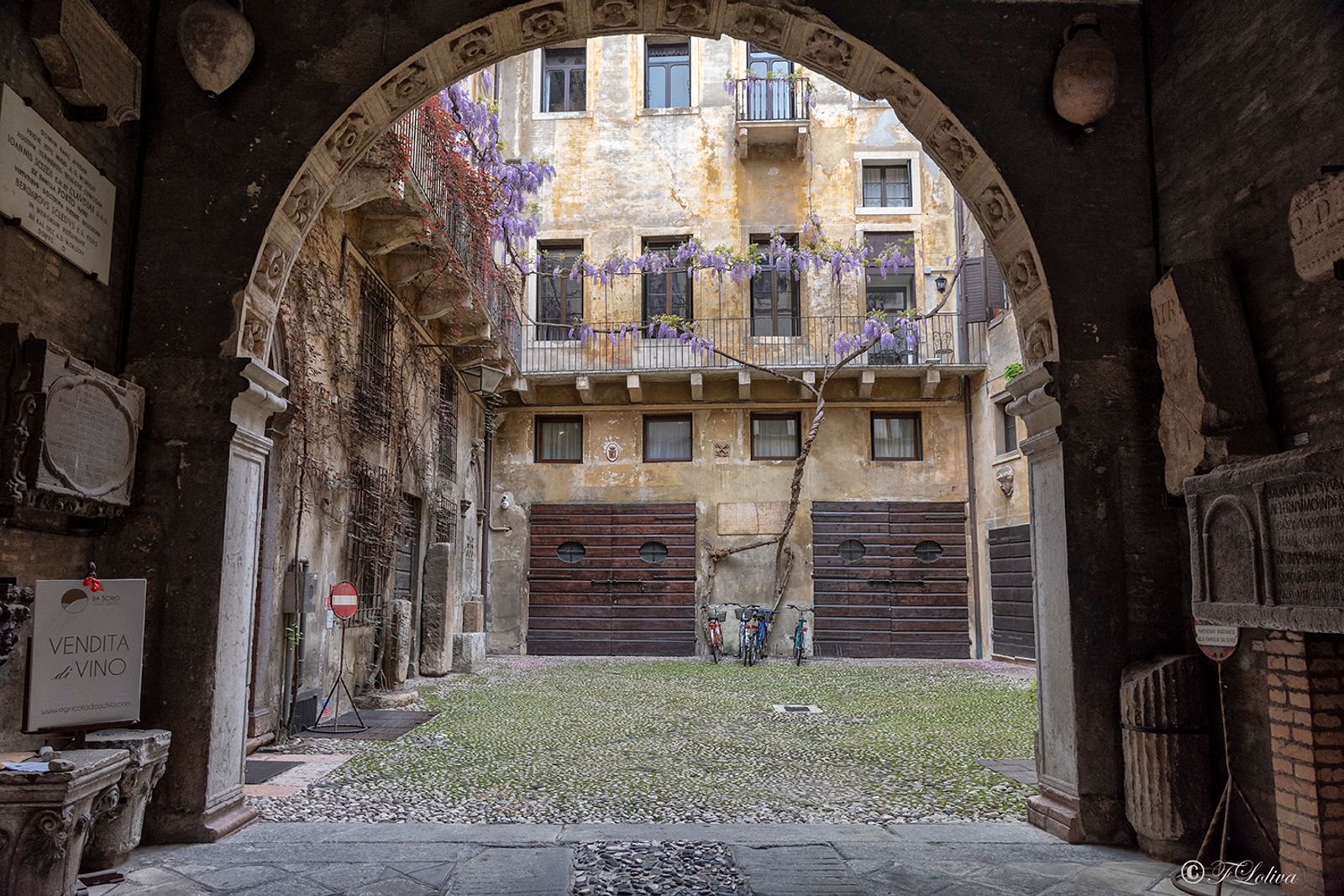 VICENZA 2019 — fotografia 24 di Francesco Loliva