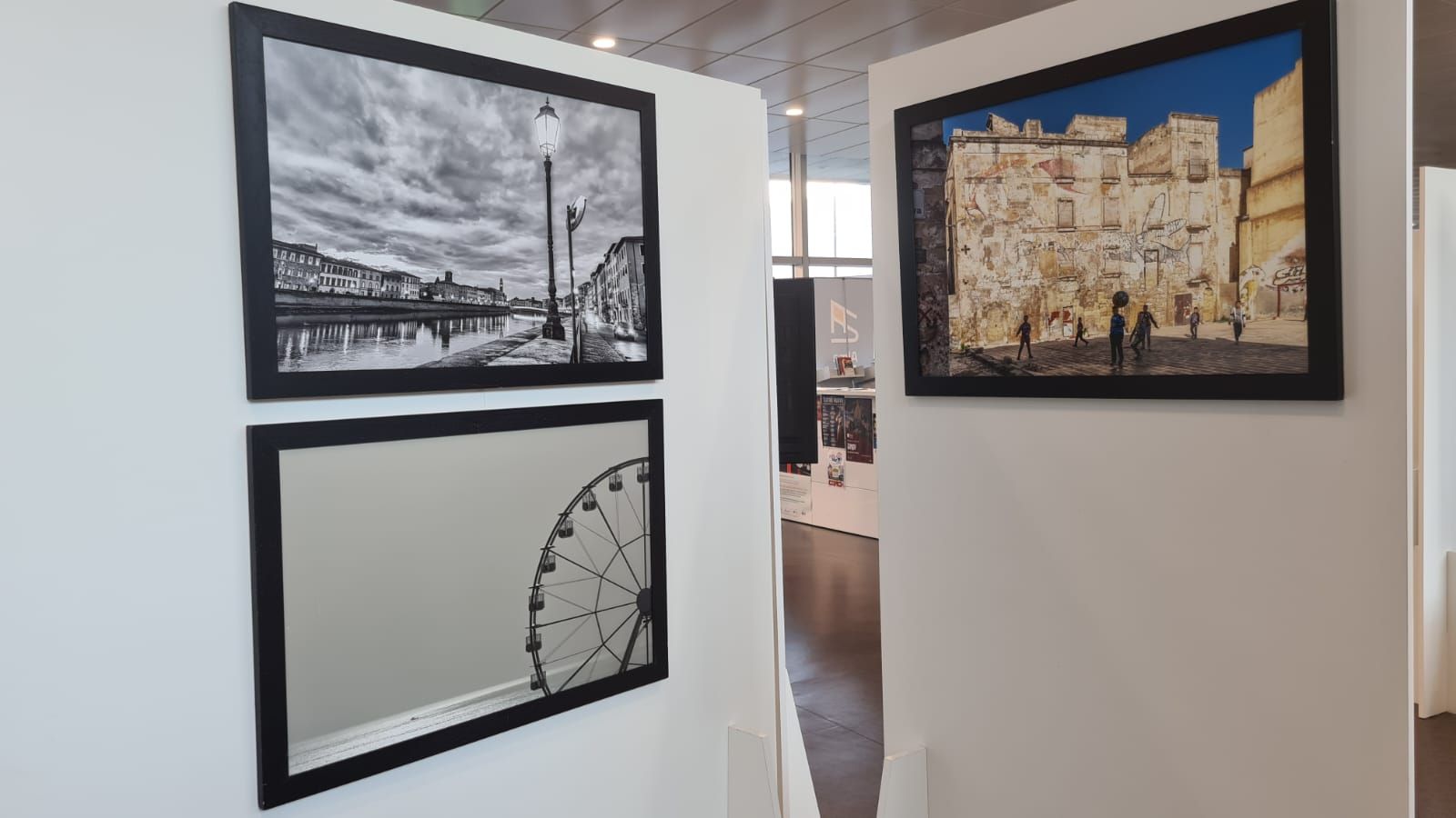 LA POESIA DELL'OBIETTIVO... PISA — fotografia 14 di Francesco Loliva