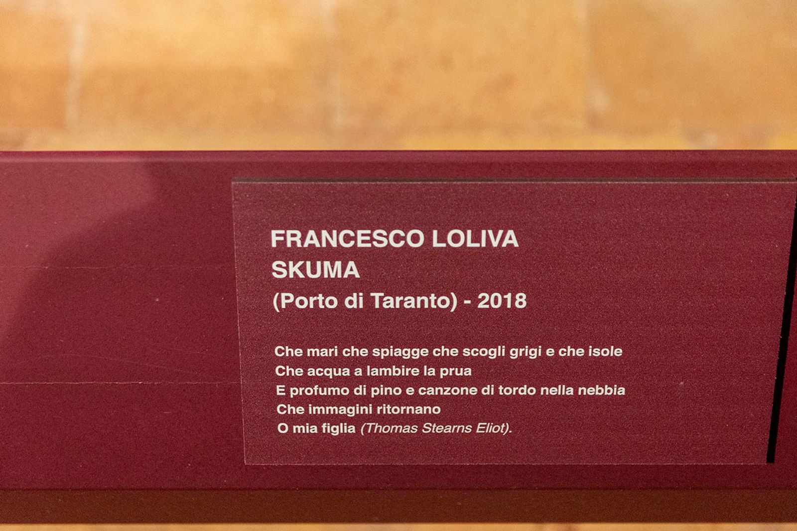 L'INFINITO TRA INCANTO E SFREGIO - 30/11/2019 RECANATI — fotografia 12 di Francesco Loliva