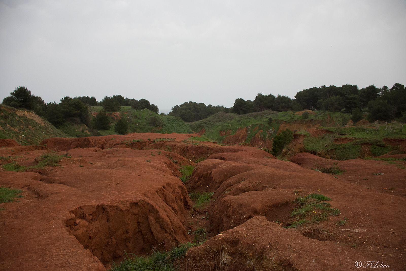 CAVA DI BAUXITE — fotografia 9 di Francesco Loliva