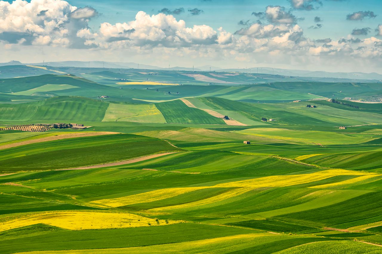 ALTA MURGIA- I COLORI DELLA PRIMAVERA