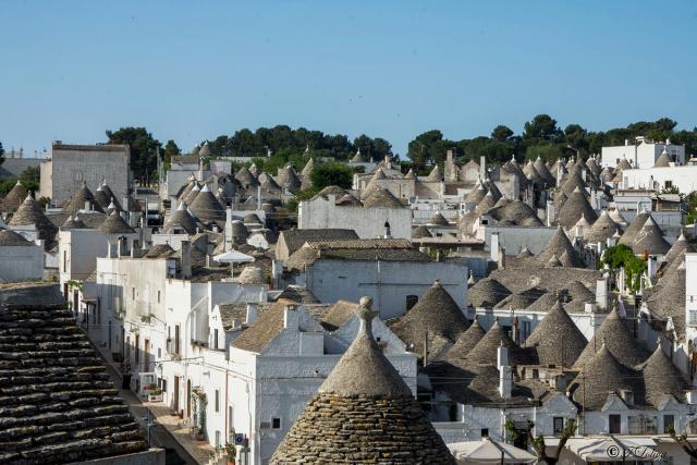 ALBEROBELLO