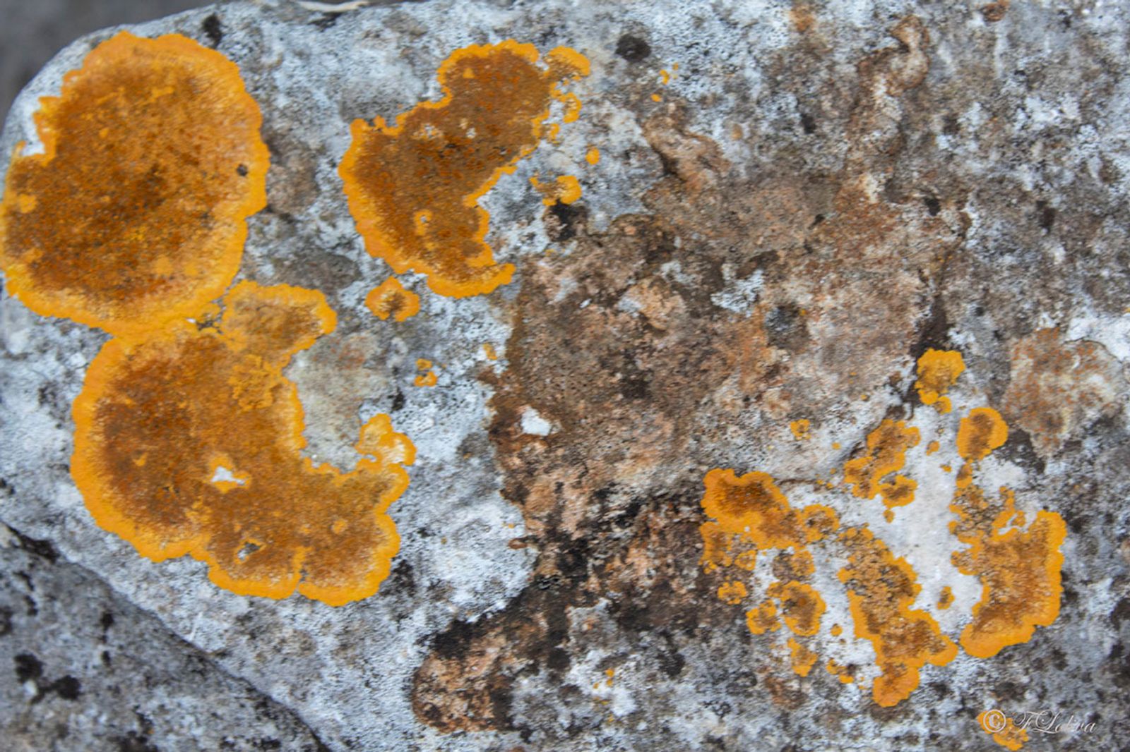 C'era una volta — fotografia 8 di Francesco Loliva