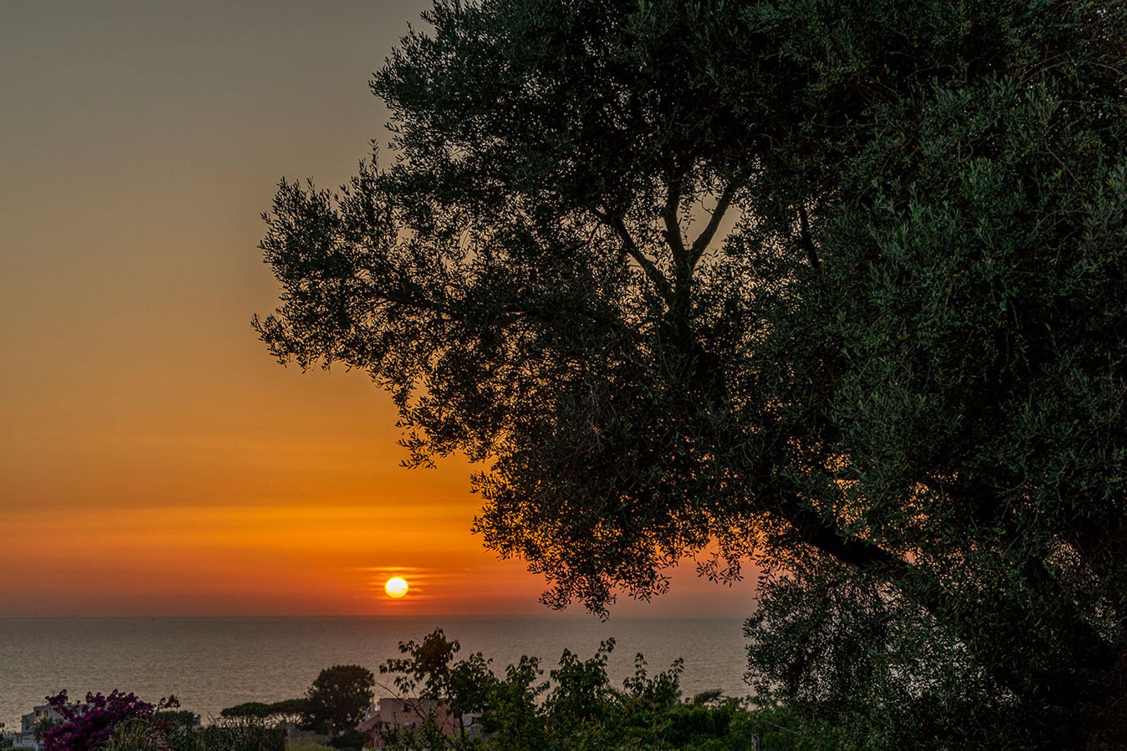 TRAMONTO ISCHITANO #12
