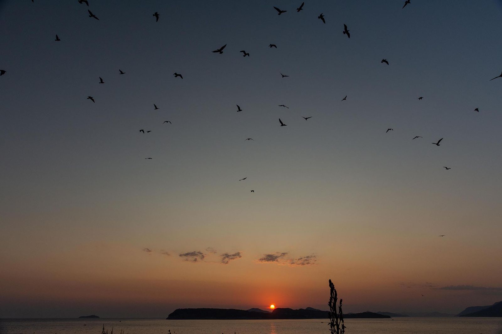 Tramonti croati — fotografia 12 di Francesco Loliva