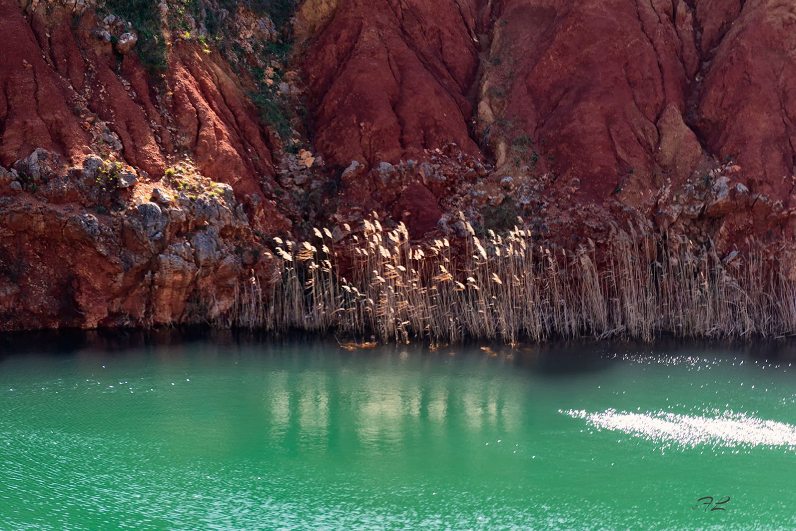CAVA DI BAUXITE — fotografia 5 di Francesco Loliva