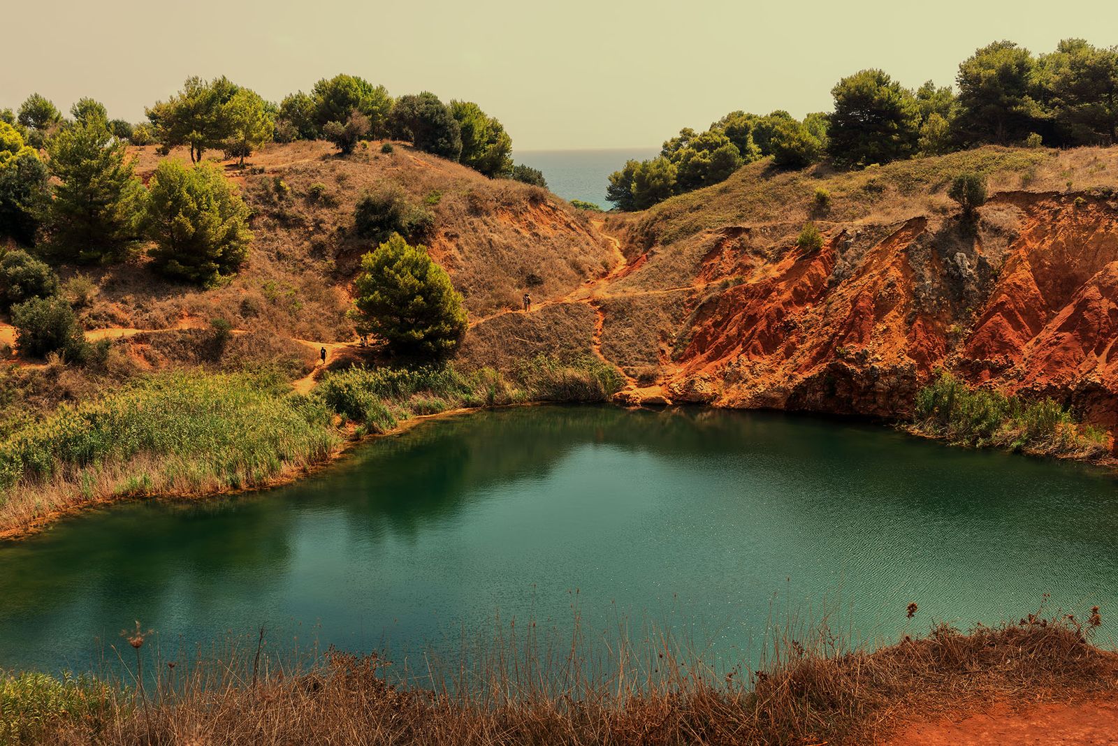 CAVA DI BAUXITE — fotografia 3 di Francesco Loliva