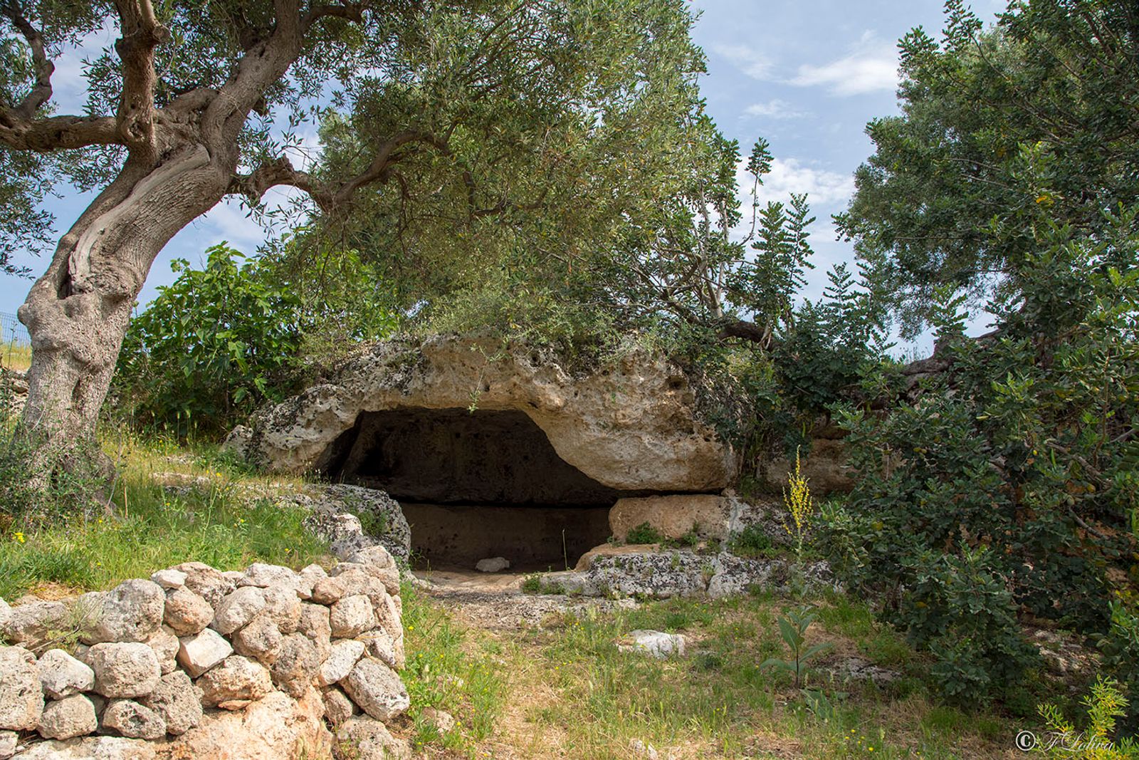 LAMA D'ANTICO - FASANO — fotografia 14 di Francesco Loliva