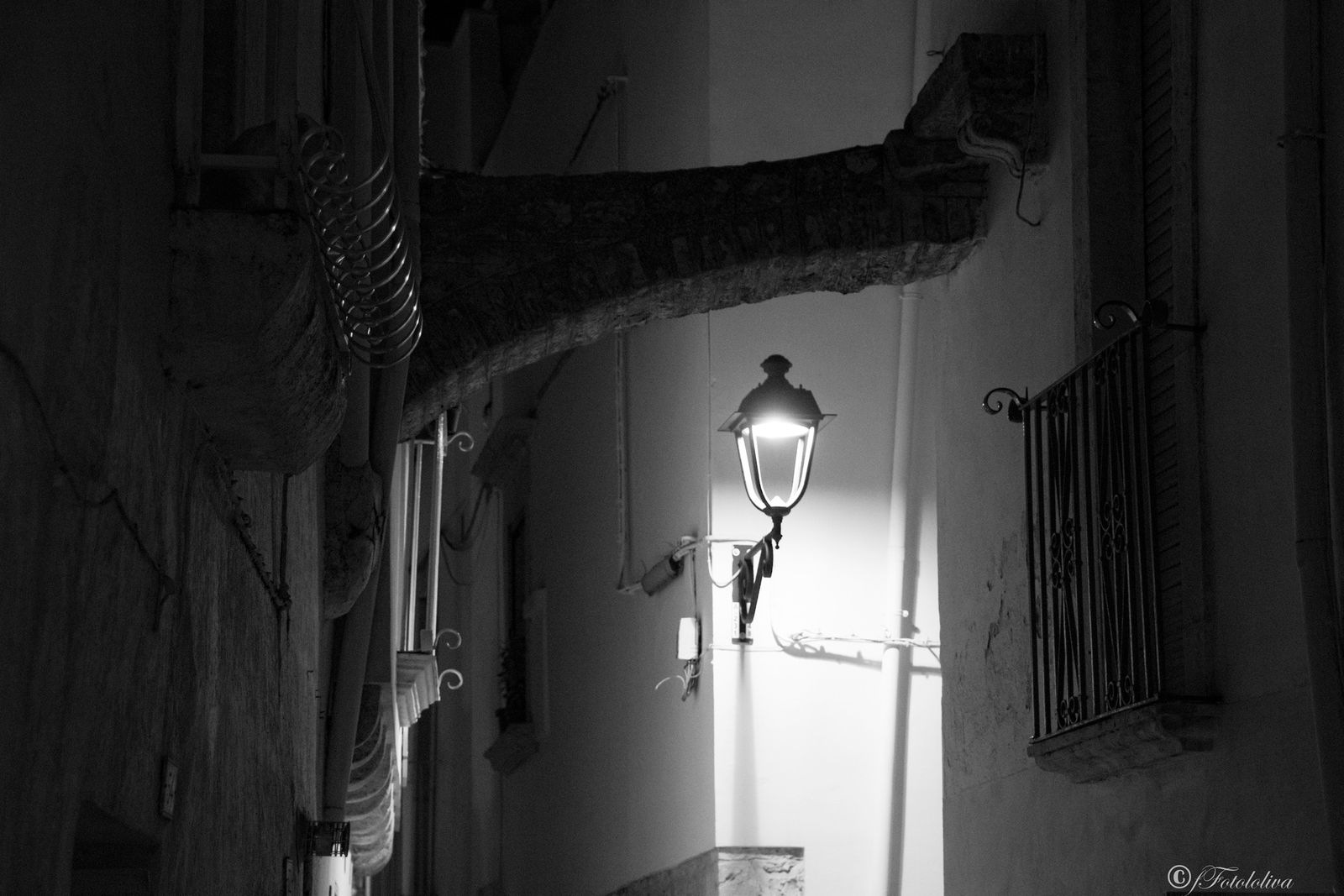 Lampioni B/W — fotografia 7 di Francesco Loliva